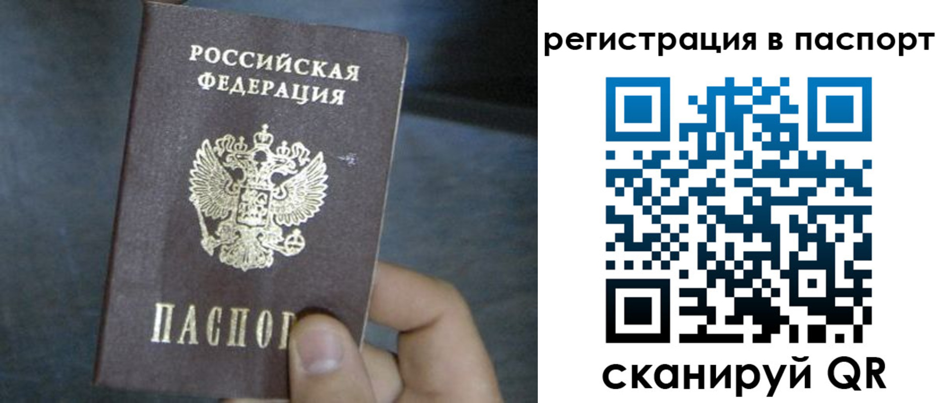 прописка 2025 в Хотьково